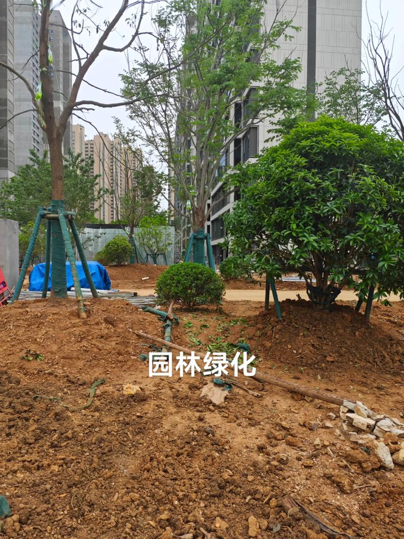光谷中央公園體育場(chǎng)地設(shè)施工程建設(shè)提速，綠色生態(tài)與全民健身協(xié)同發(fā)展
