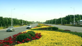 綠動(dòng)磁州，健行未來 八項(xiàng)重點(diǎn)工程繪就園林縣城新畫卷